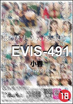 EVIS-491Ѹ