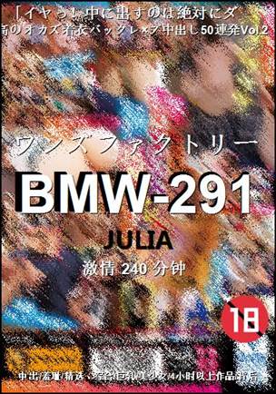 BMW-291BT