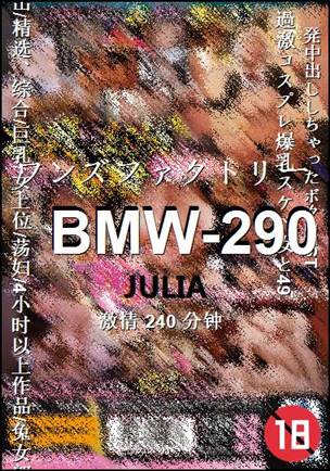 BMW-290Ѹ