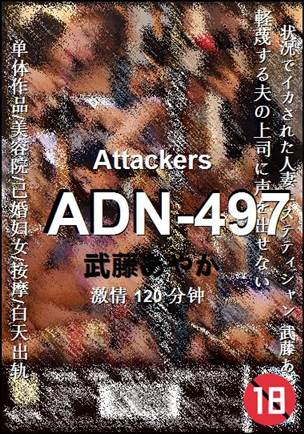 ADN-497BT