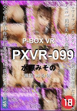 PXVR-099Ѹ