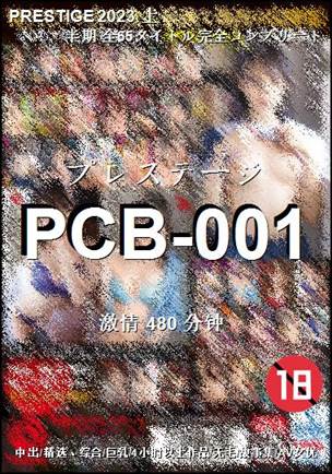PCB-001BT