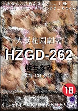 HZGD-262Ѹ