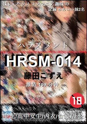 HRSM-014Ѹ
