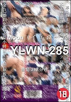 YLWN-285BT