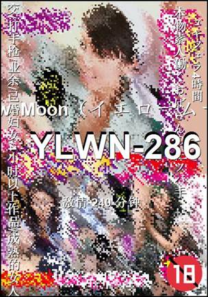 YLWN-286Ѹ