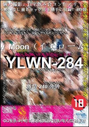 YLWN-284Ѹ