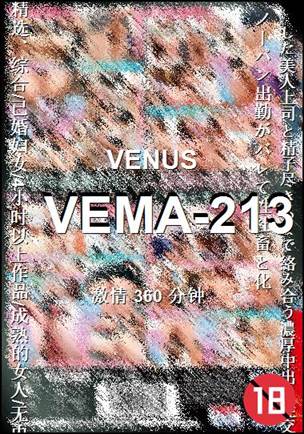 VEMA-213Ѹ