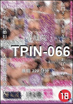 TPIN-066BT