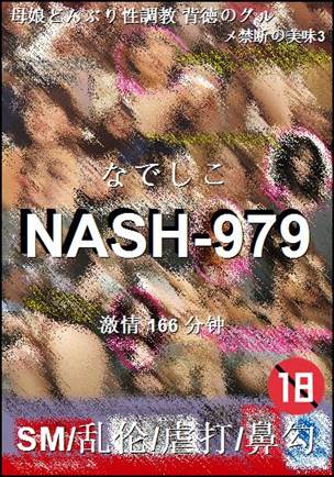 NASH-979Ѹ
