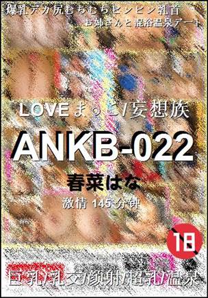 ANKB-022BT