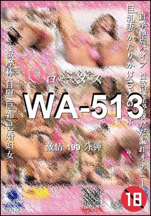 WA-513Ѹ
