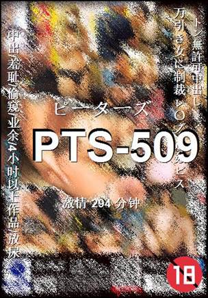 PTS-509Ѹ