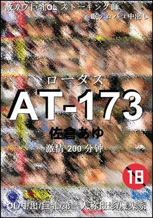 AT-173Ѹ