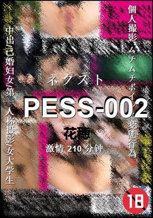 PESS-002Ѹ