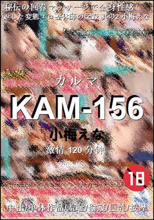 KAM-156Ѹ