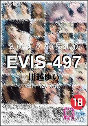 EVIS-497Ѹ