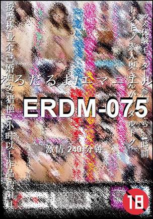 ERDM-075BT