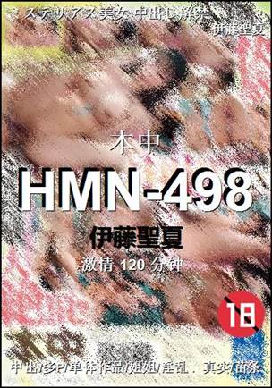HMN-498Ѹ