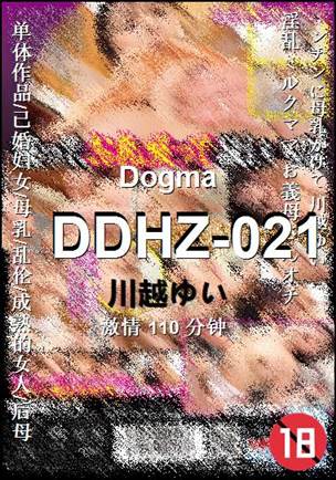 DDHZ-021BT����