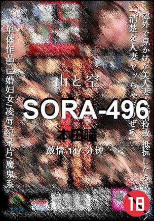 SORA-496Ѹ