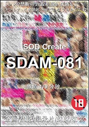 SDAM-081BT