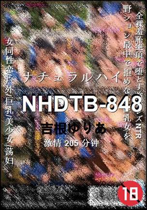 NHDTB-848BT