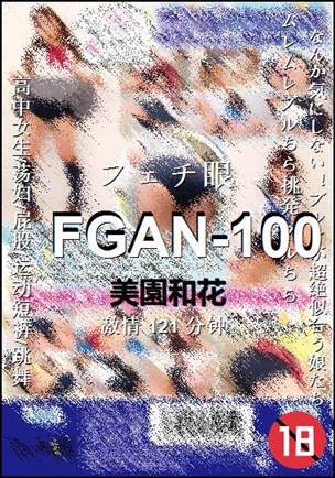 FGAN-100Ѹ