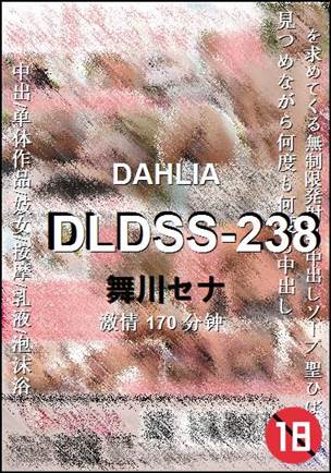 DLDSS-238Ѹ