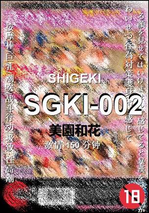SGKI-002Ѹ