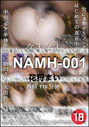 NAMH-001Ѹ