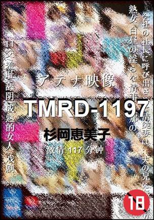 TMRD-1197Ѹ