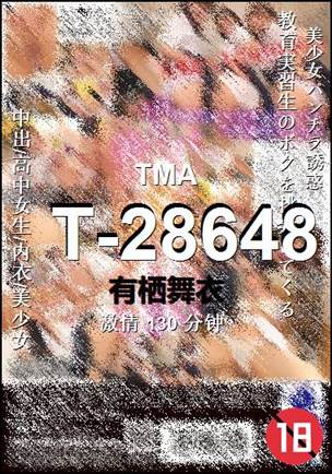 T-28648Ѹ