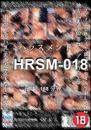 HRSM-018BT