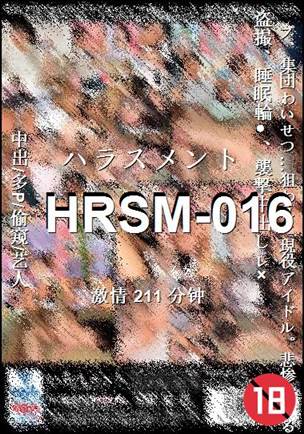 HRSM-016Ѹ