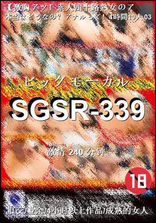 SGSR-339BT