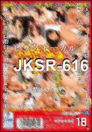 JKSR-616BT