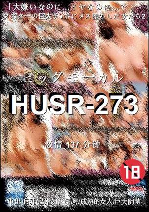 HUSR-273Ѹ