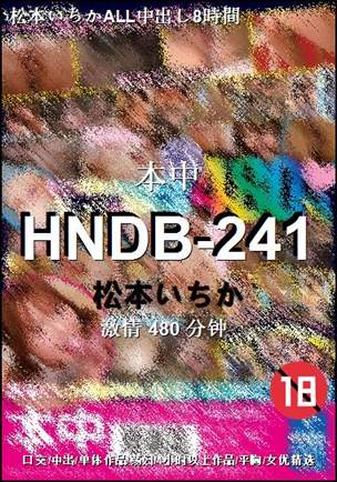 HNDB-241BT