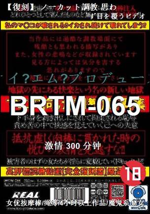BRTM-065Ѹ