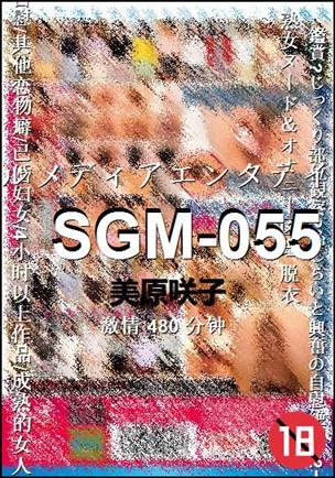 SGM-055Ѹ