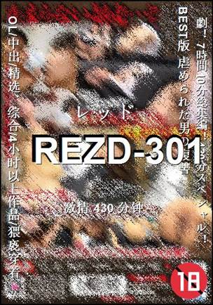 REZD-301Ѹ