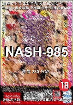 NASH-985Ѹ