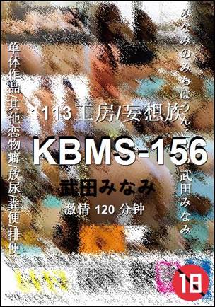 KBMS-156BT