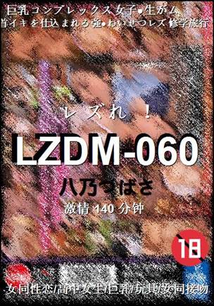 LZDM-060BT