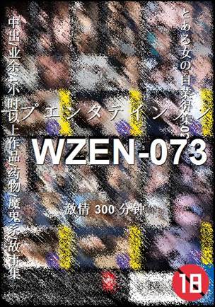 WZEN-073BT