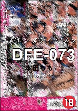 DFE-073BT����