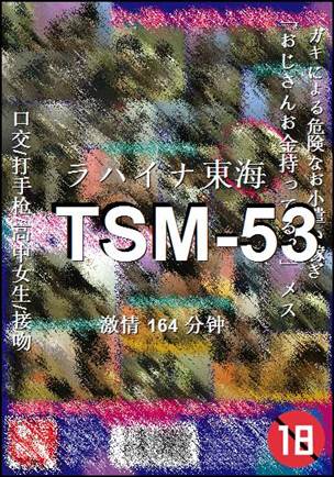 TSM-53Ѹ