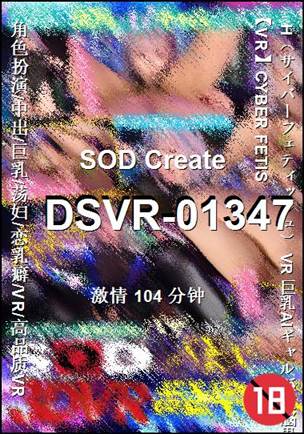 DSVR-01347BT����
