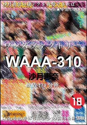 WAAA-310Ѹ